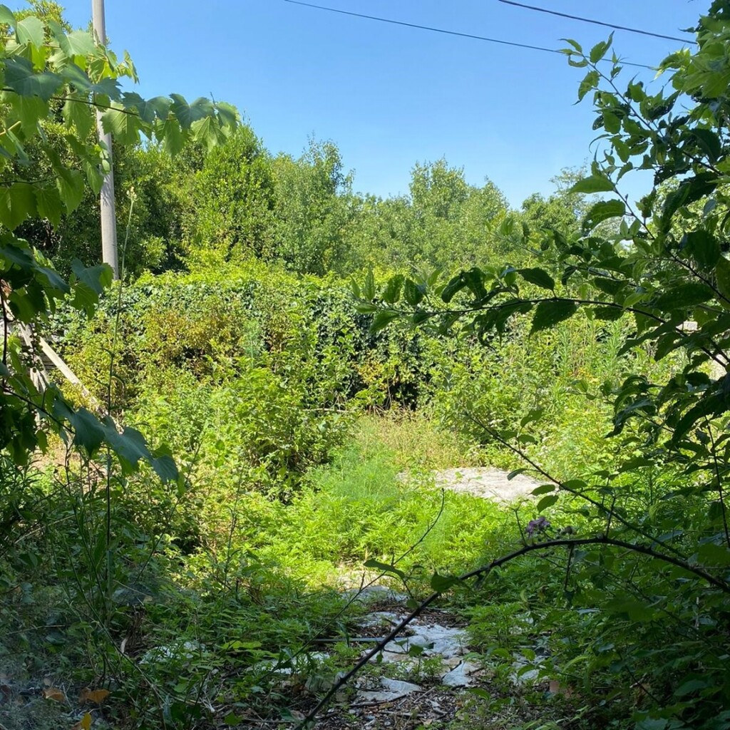 Image 5938677 - 1