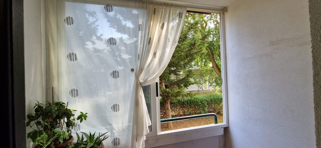 Image 5938680 - 13