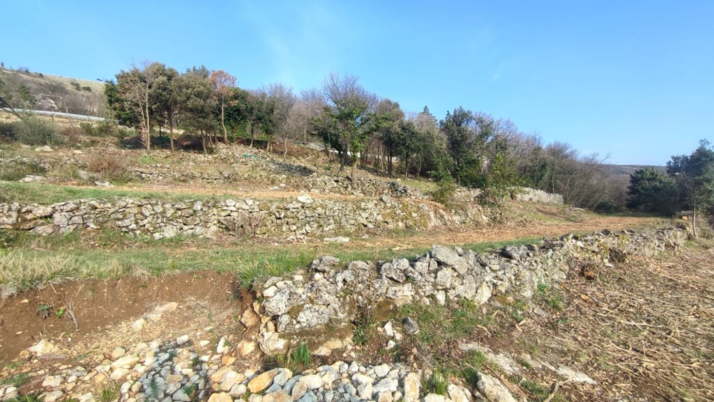 Image 5938684 - 3