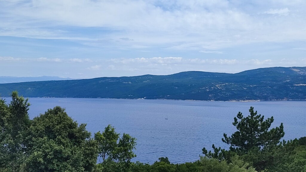Image 5938684 - 5