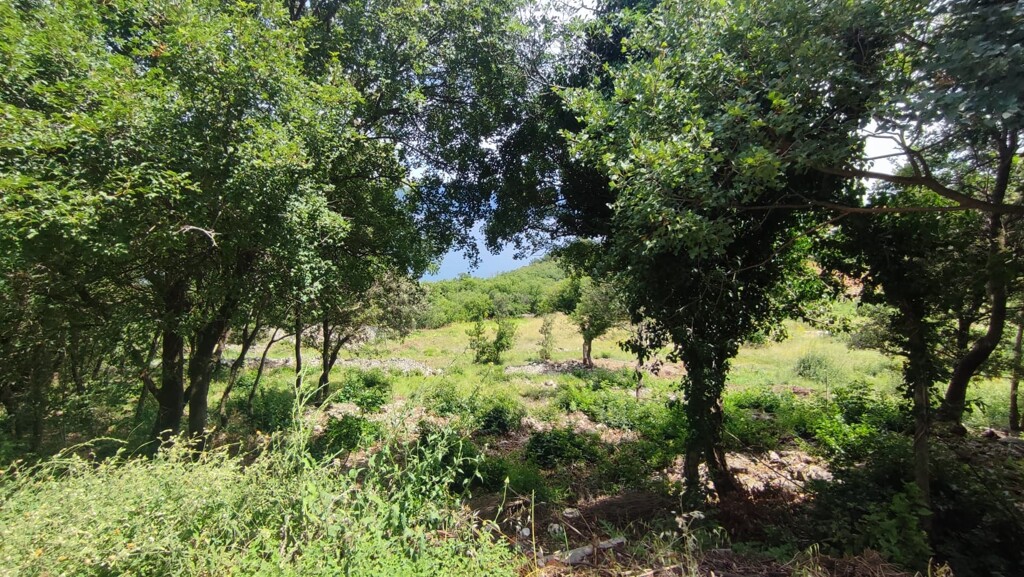 Image 5938685 - 6