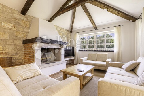 Thumbnail 5939099 - 6