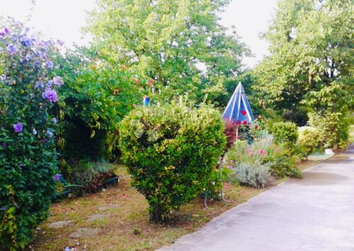 Thumbnail 5939213 - 6