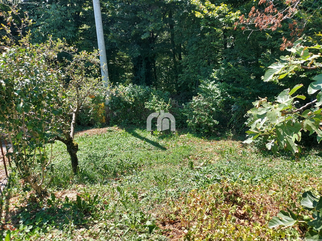 Image 5940923 - 5