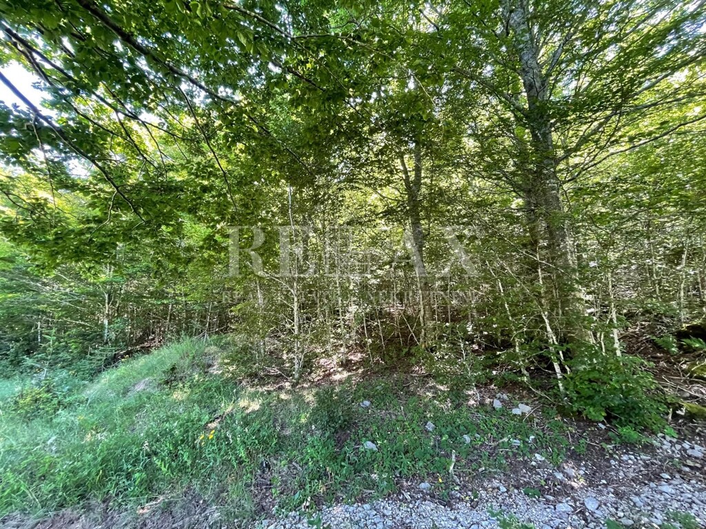 Image 5941019 - 3