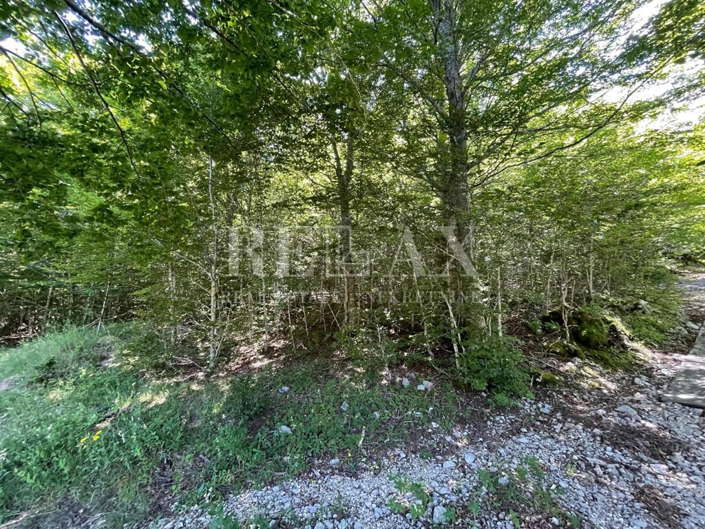 Image 5941019 - 1