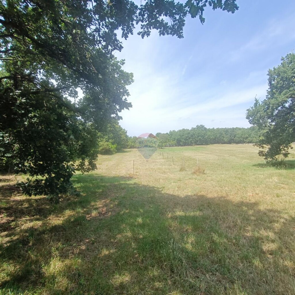 Image 5941087 - 3
