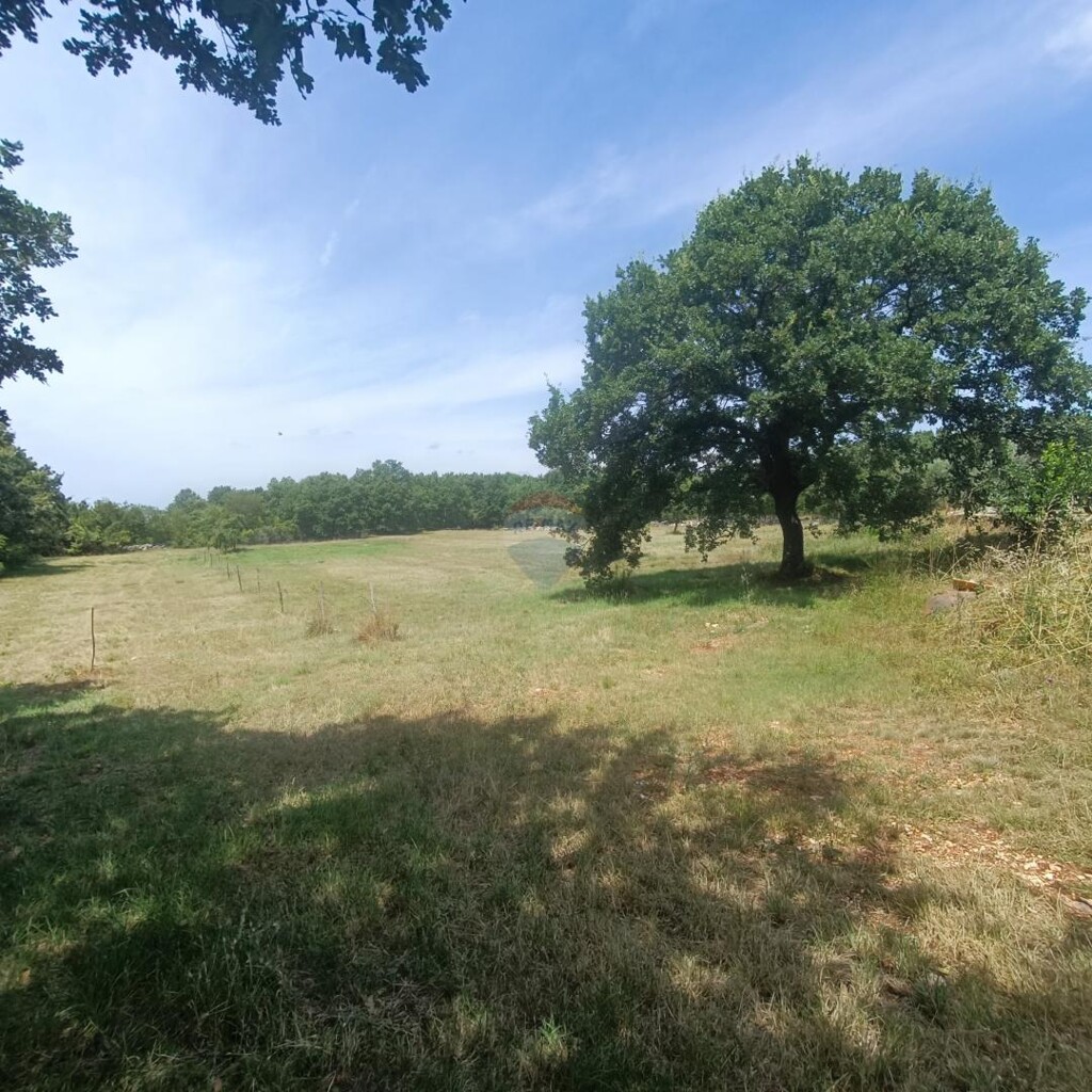 Image 5941087 - 5