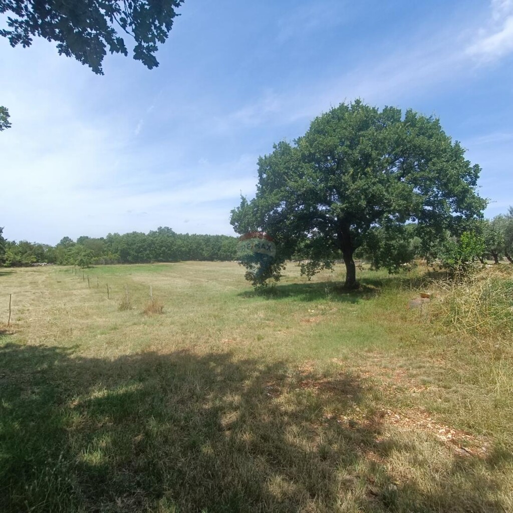 Image 5941087 - 1