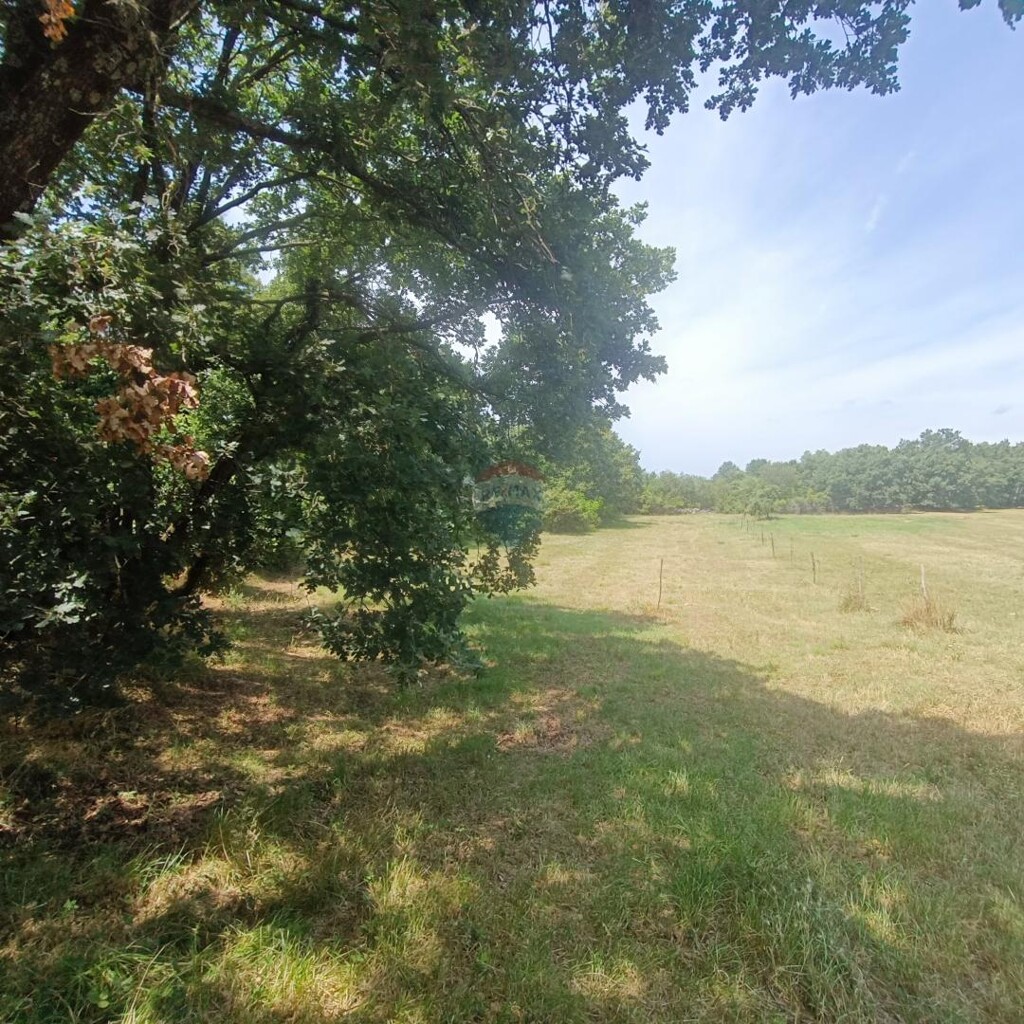 Image 5941087 - 4