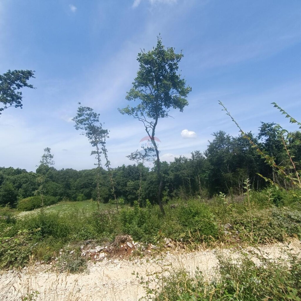 Image 5941088 - 2