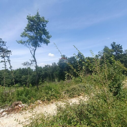 Thumbnail 5941088 - 1