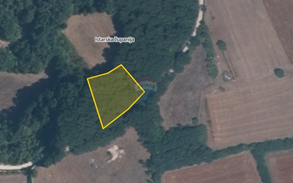 Image 5941088 - 3