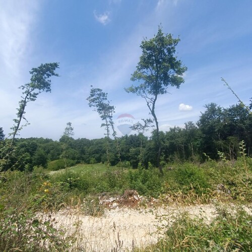 Thumbnail 5941089 - 1