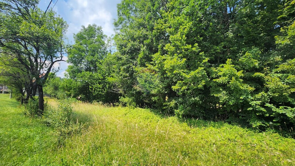Image 5941097 - 1