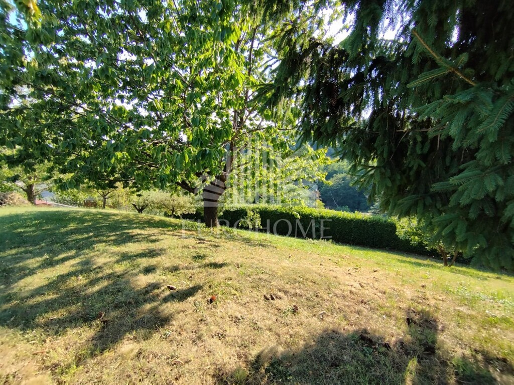 Image 5941762 - 5