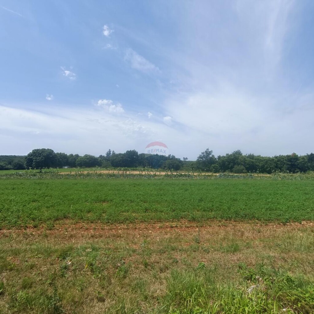 Image 5941928 - 3