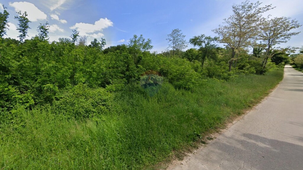 Image 5941930 - 1