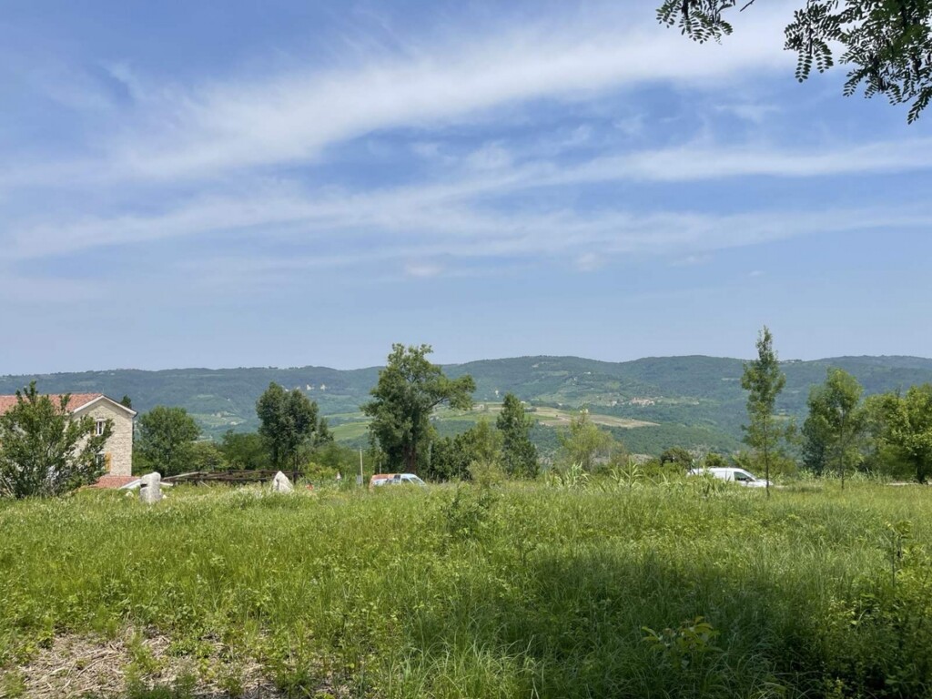 Image 5942200 - 4