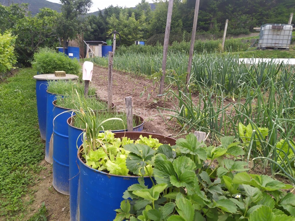 Image 5942798 - 13