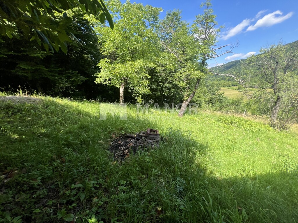 Image 5944523 - 15
