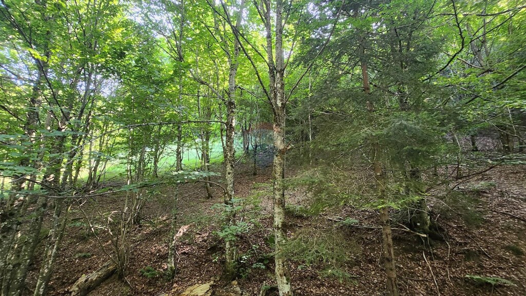 Image 5944531 - 5