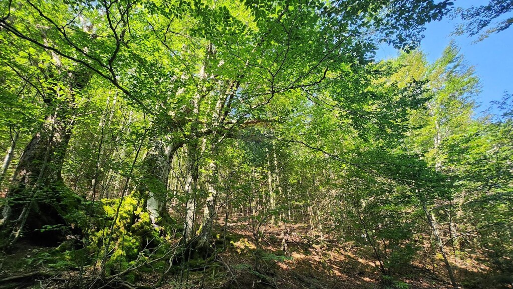 Image 5944531 - 4
