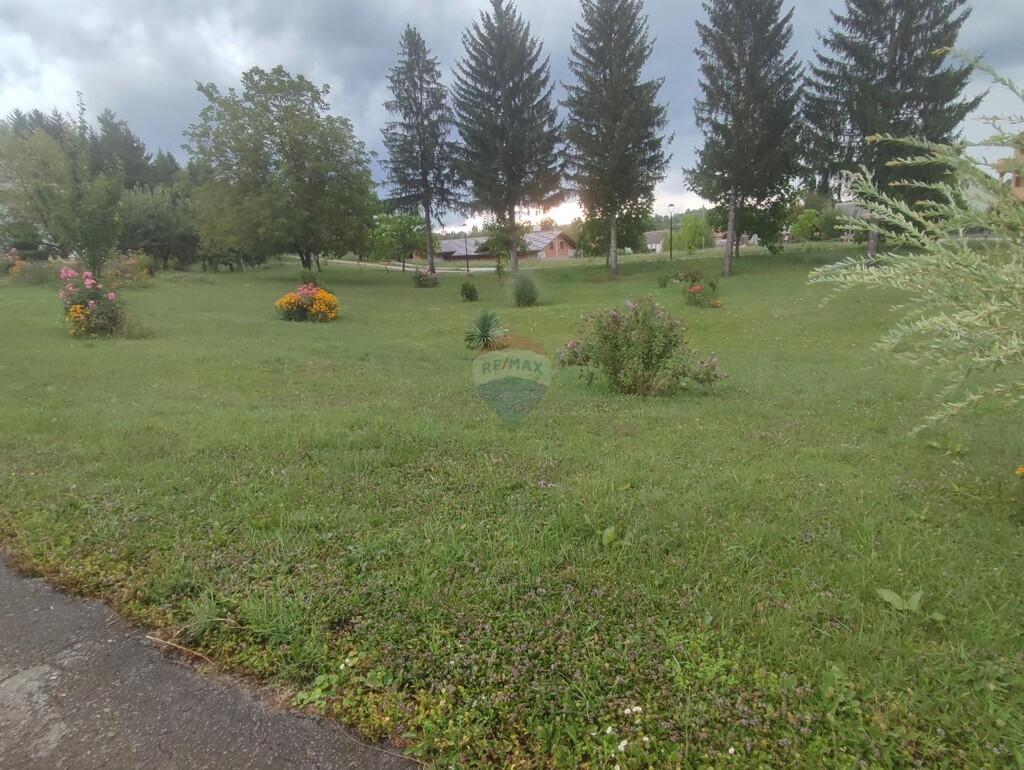 Image 5945374 - 1