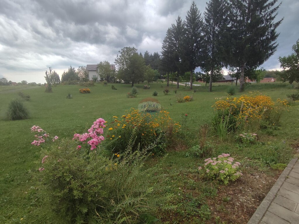 Image 5945374 - 3