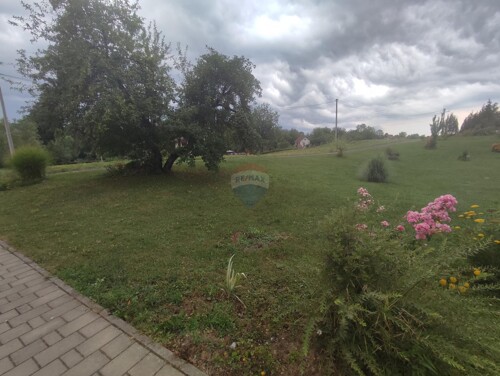 Thumbnail 5945374 - 6