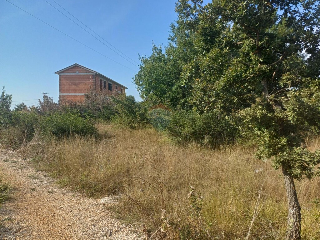 Image 5945376 - 3