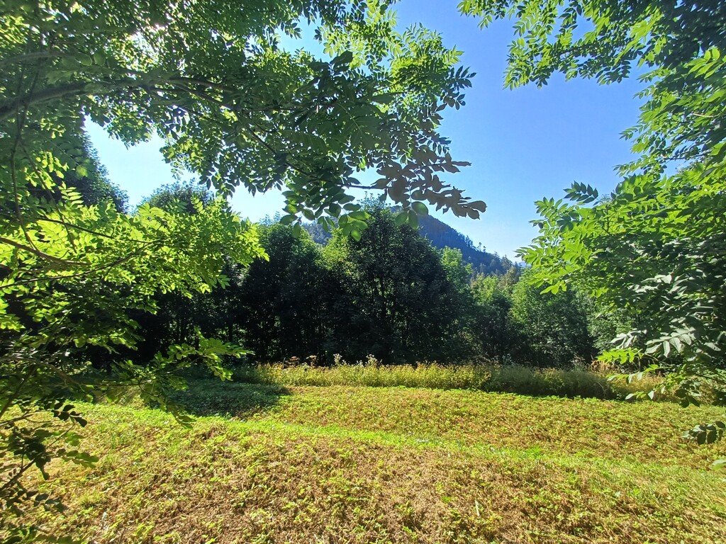 Image 13