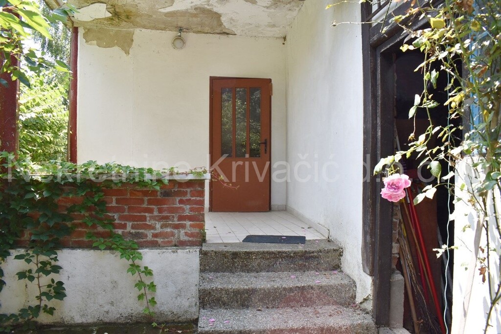 Image 5946076 - 6