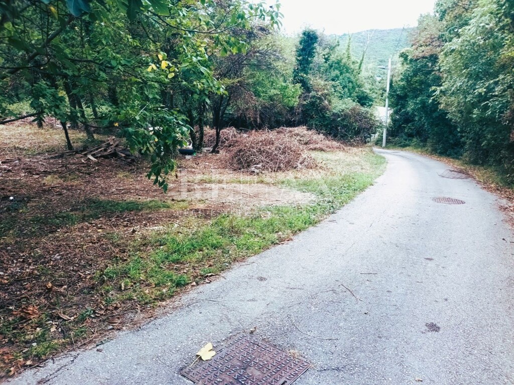 Image 5946152 - 5