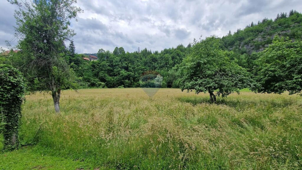 Image 5946196 - 12