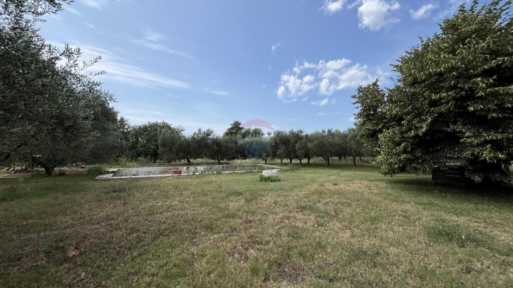 Image 5946961 - 4