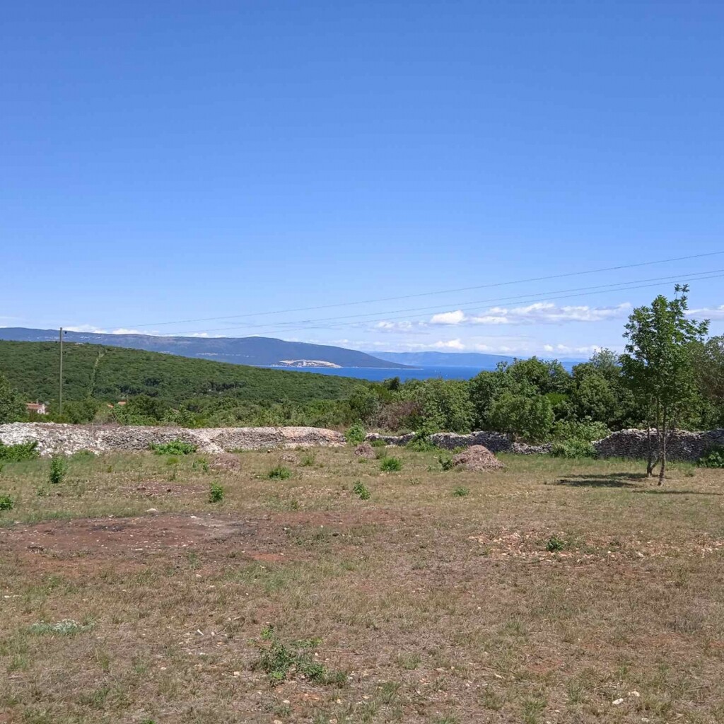 Image 5947244 - 1