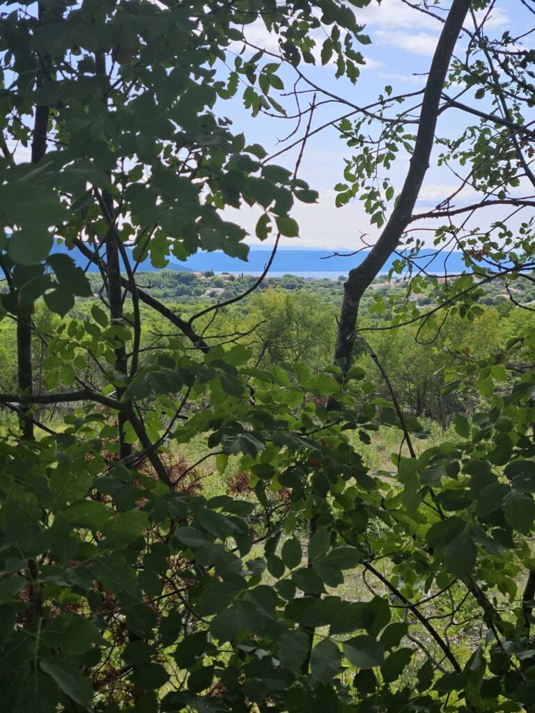 Image 5947245 - 2