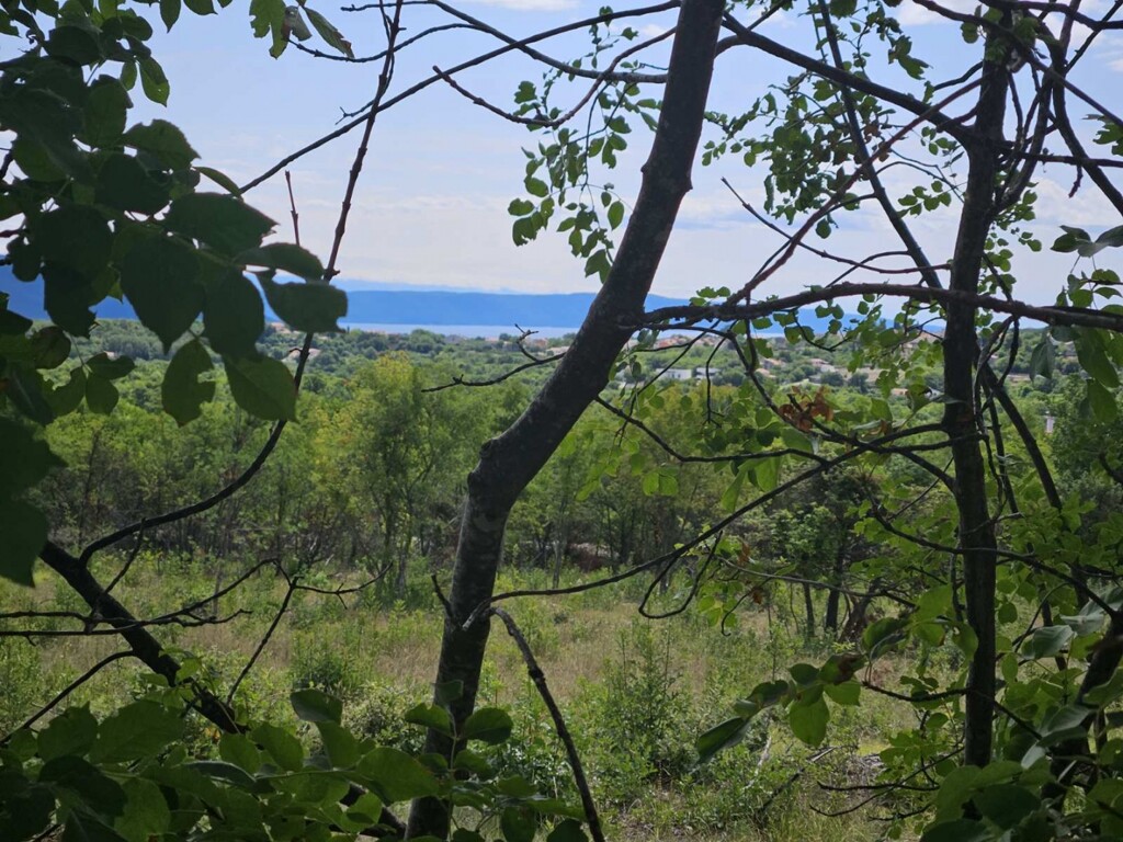 Image 5947246 - 1