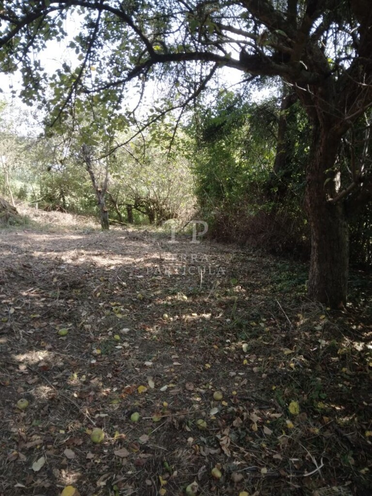 Image 5947738 - 13