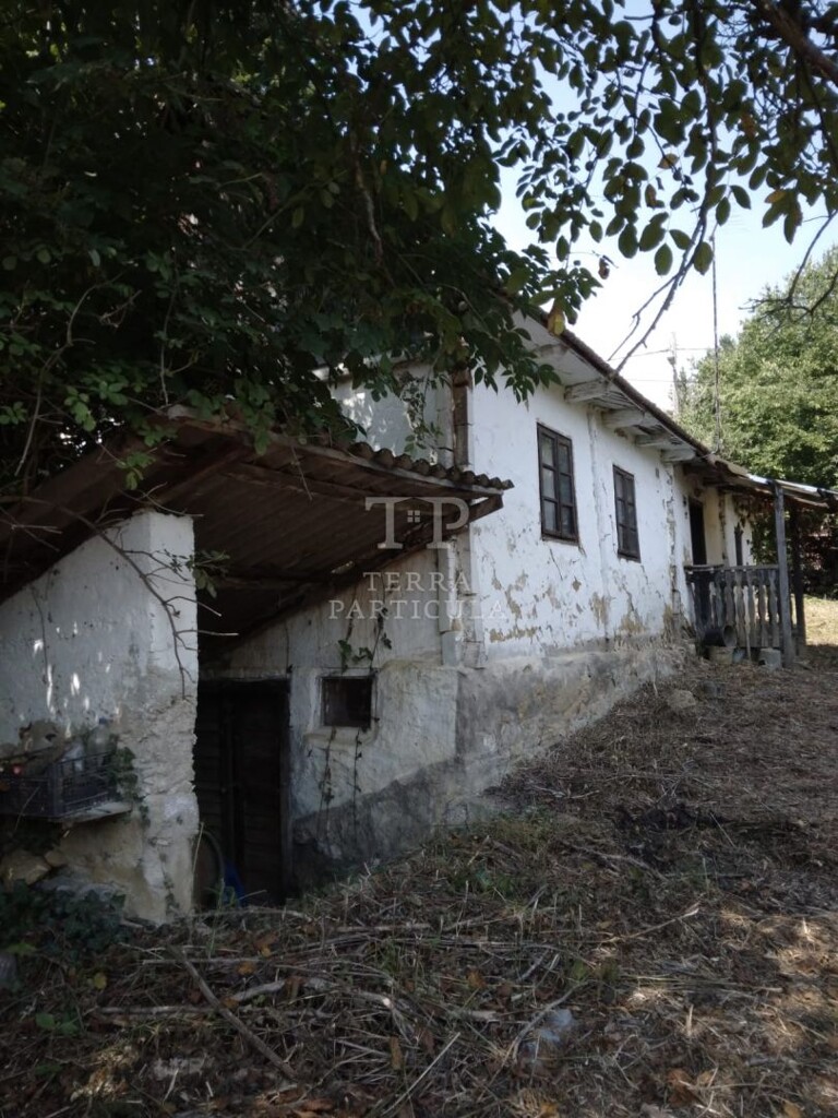 Image 5947738 - 1
