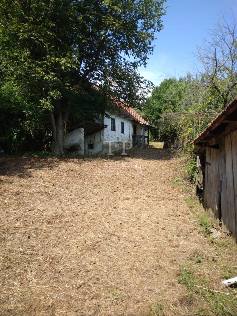 Image 5947738 - 7