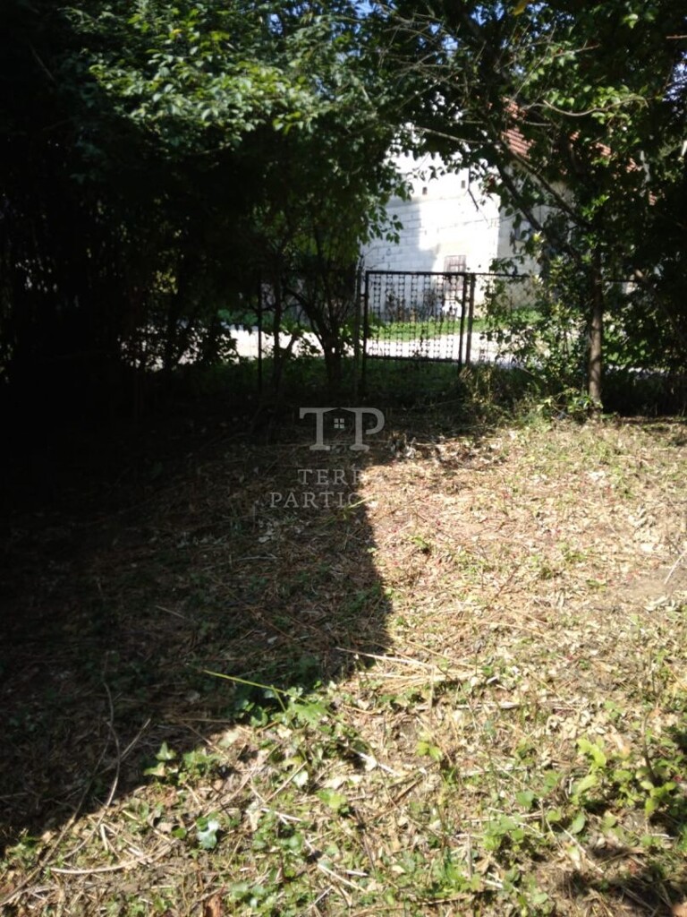 Image 5947738 - 21
