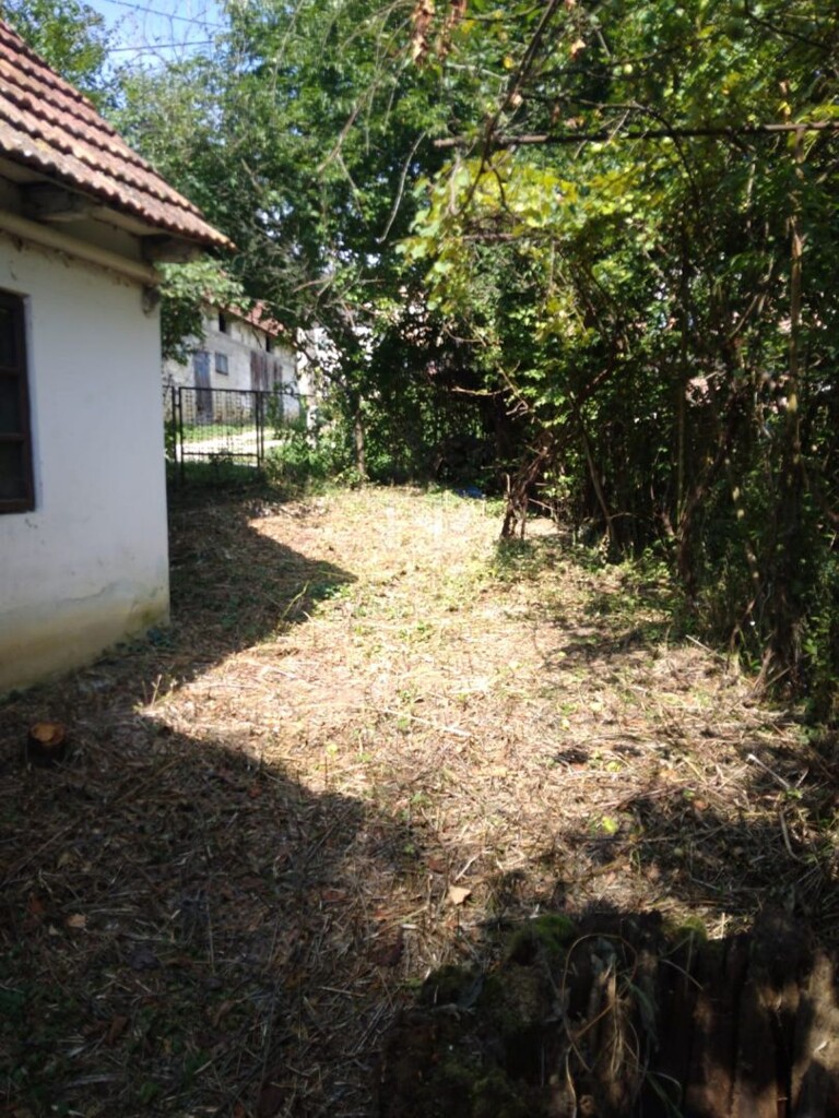 Image 5947738 - 24