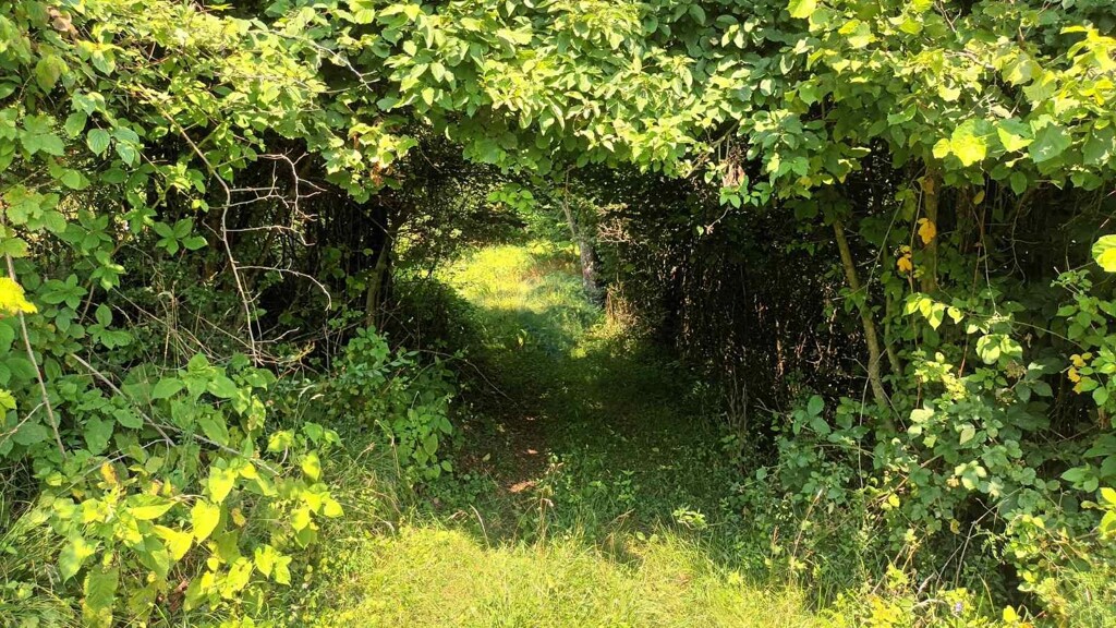 Image 5947986 - 5