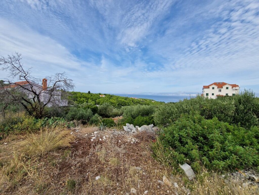 Image 5948263 - 1
