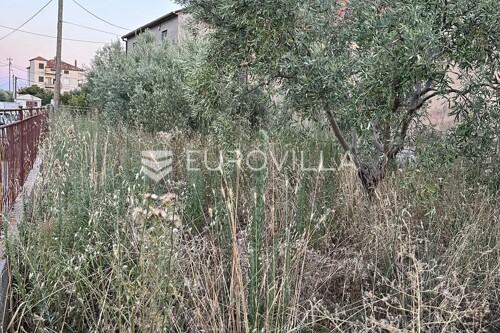 Thumbnail 5949447 - 3