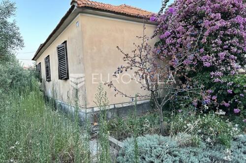 Thumbnail 5949447 - 2