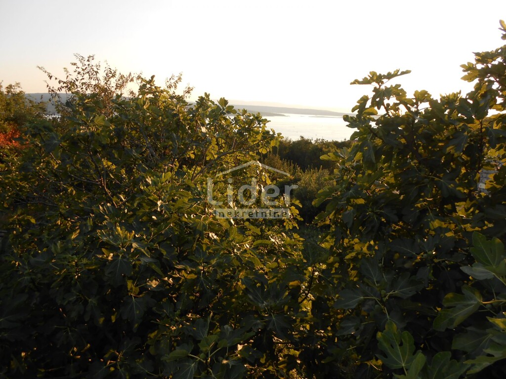 Image 5949478 - 3