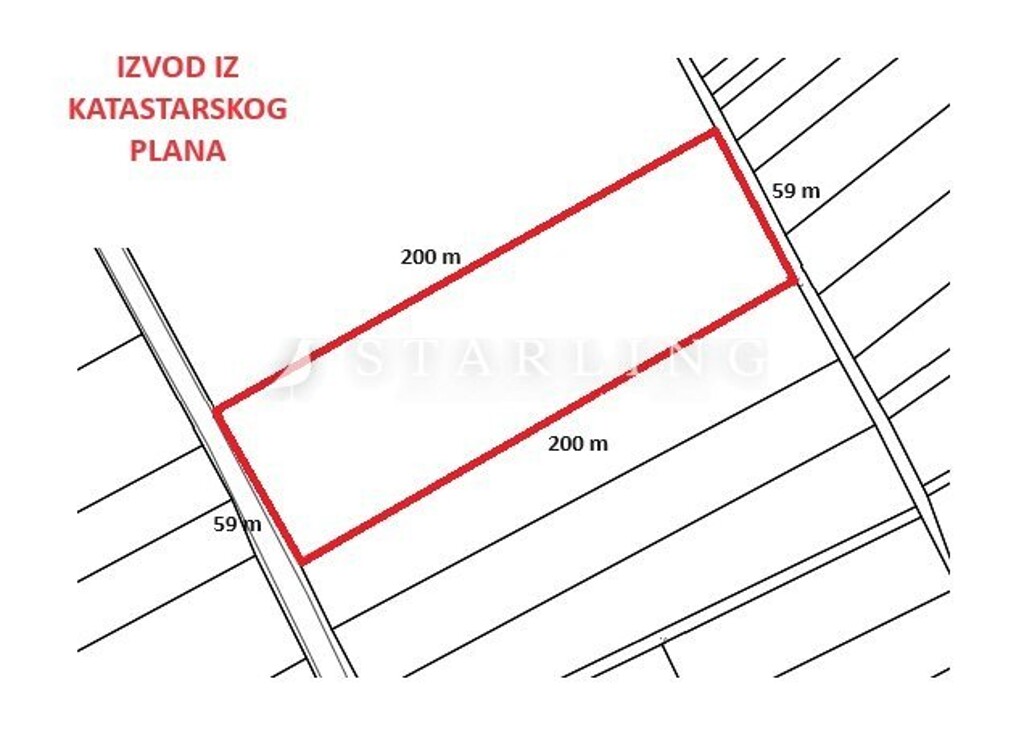 Image 5949511 - 2